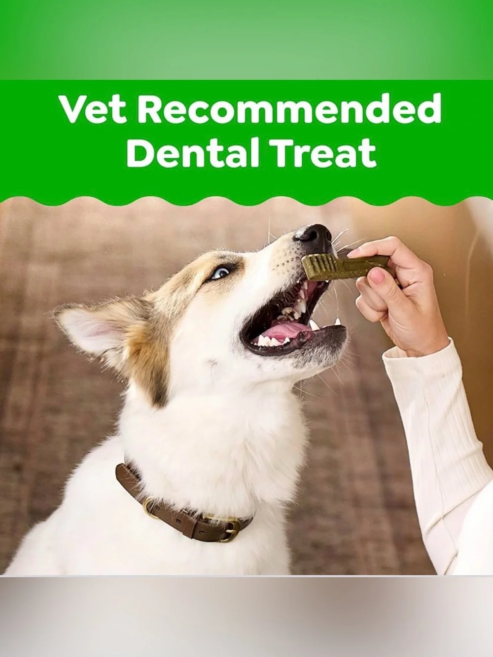 Greenies original dental